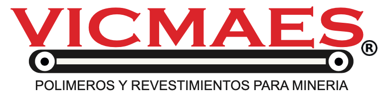 LOGO VICMAES